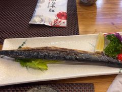 -樱の千渡日式料理·铁板烧•烧鸟(金盛田广场店)