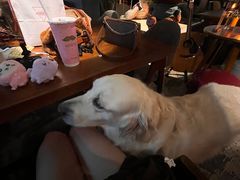 -咖法森林·咖啡  酒吧(天河店)