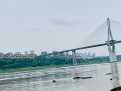 -大渡口区义渡公园