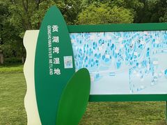 景点-贡湖湾湿地公园