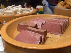 -龍歌自助小火锅(崂山丽达店)