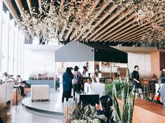 大堂-Seesaw Coffee(朝阳大悦城店)