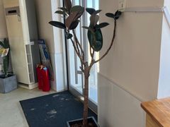 -ChanDu躔度咖啡(灯塔店)