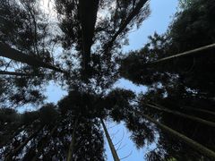 -青城山