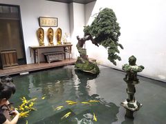 -觀芷隐轩
