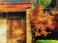 -香山公园