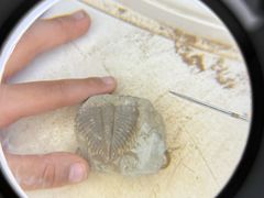 -房山世界地质公园博物馆