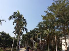 iphone_upload_pic-深圳麒麟山庄