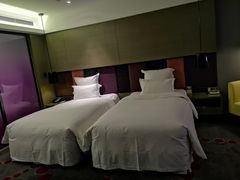 -南京禄口机场雅高铂尔曼大酒店