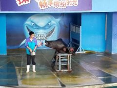 苏州海洋馆-苏州海洋馆