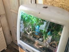 -海边的猫和咖啡馆