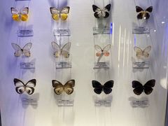 -吉林省自然博物馆