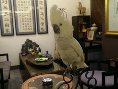 -大唐名家·息壤店