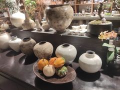 -自由生长植物工作室(深港花卉中心店)