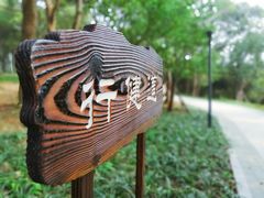 -上海市保健医疗中心(华东疗养院)
