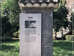 -神仙树公园