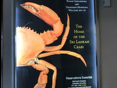 -Ministry of Crab(科伦坡店)