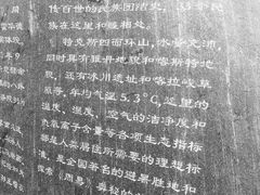 -特克斯八卦城