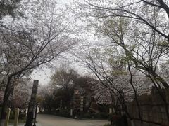 -淹城春秋乐园