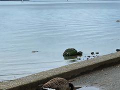 -英吉利湾海滩