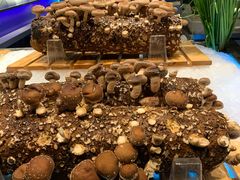 -V-ONE西雅图海鲜自助餐厅(仓山万达广场店)