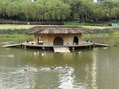 -顺峰山公园