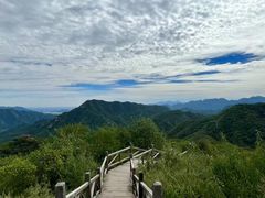 -大岭沟猕猴桃谷风景区