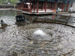 -百脉泉景区