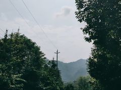 -青城山