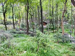 -中国茶叶博物馆(双峰馆区)