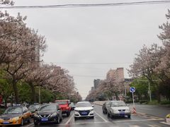 -平乐园(地铁站)
