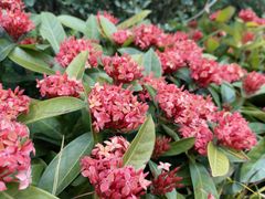 -南沙蒲洲花园