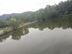-大屏嶂森林公园