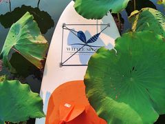 -WhaleSports户外水上运动俱乐部(朝阳公园店)