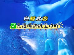 -海合安武汉极地海洋公园