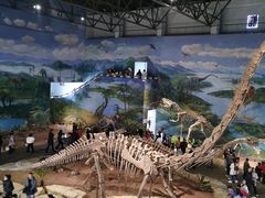 -自贡恐龙博物馆