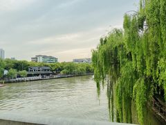 -运河游船(武林门码头)