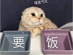-奈雪的茶(凯德新都心店)