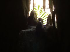 -绿光森林餐厅