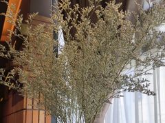 -泰合玺·精油疗愈SPA(狮山天街生活广场店)