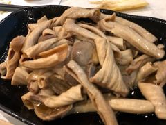 -裕.鹅庄