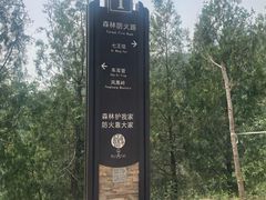 -阳台山自然风景区