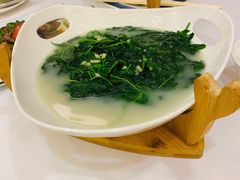 上汤辣椒叶-广州酒家(文昌总店)