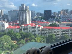 -广州花园酒店