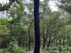 -南京老山国家森林公园