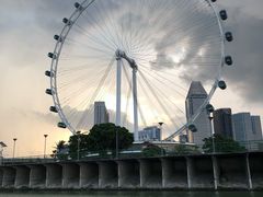 -新加坡摩天观景轮