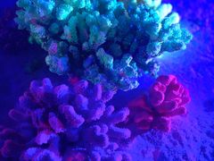 -石林冰雪海洋世界