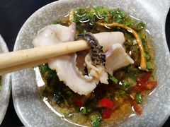 -京门活鱼馆·鱼火锅(百子湾（原红庙）店)