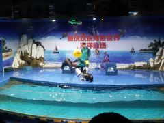 -重庆欢乐海底世界