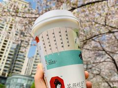 -茶颜悦色(花园道店)